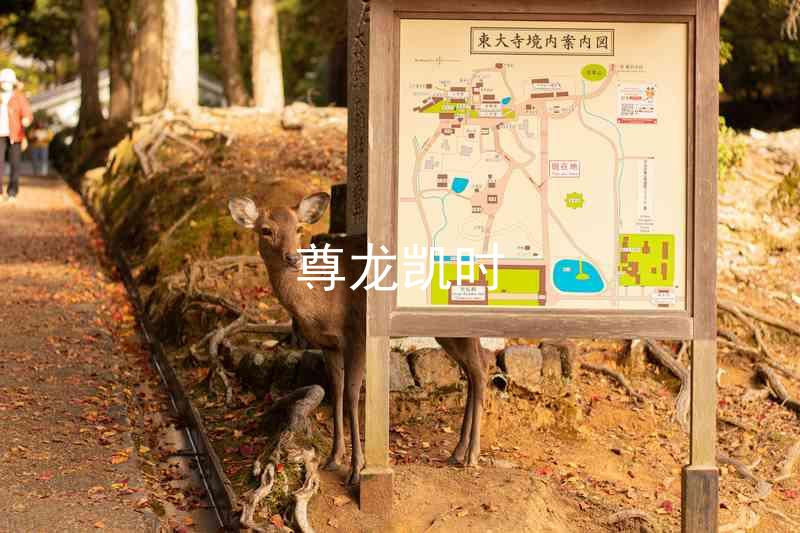 尊龙凯时