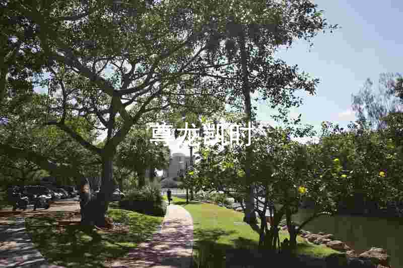 尊龙凯时