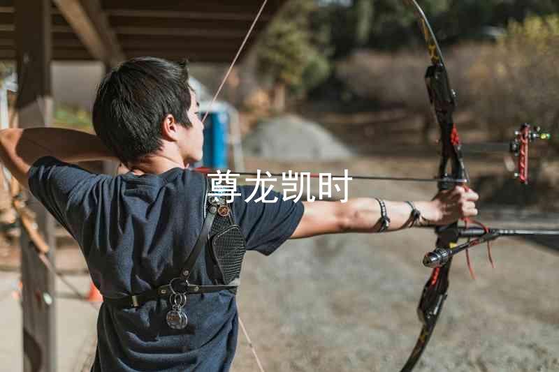 尊龙凯时